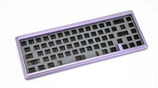 Ginkgo65 Pro Kit Purple x Silver ANSI