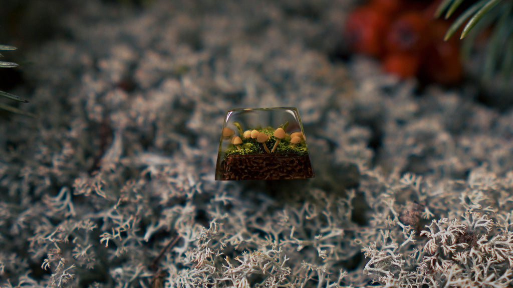 Tastenkappe Zen Keycaps "Sommer Gefühle"