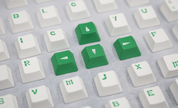Varmilo Panda 87 R2 ANSI - Geekboards