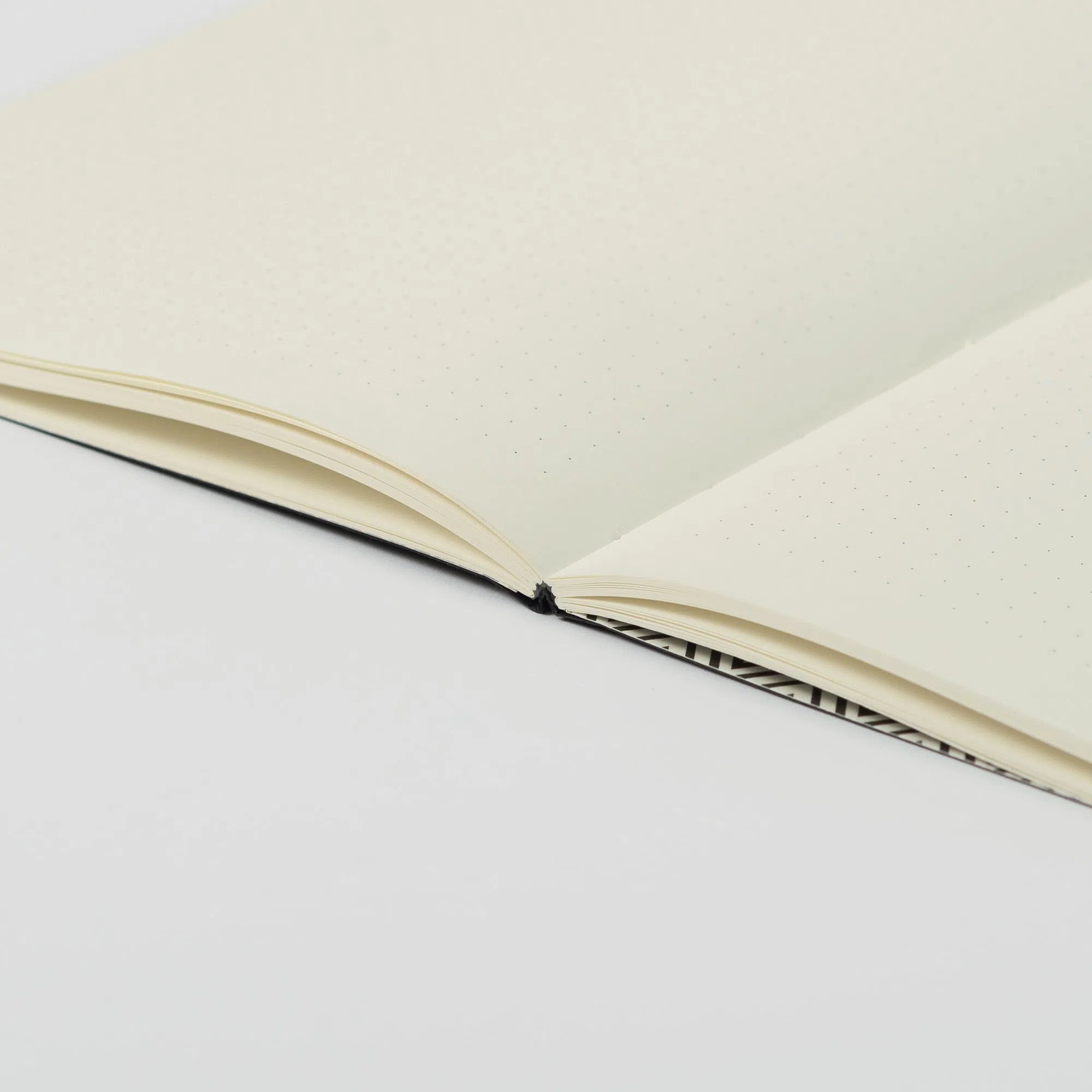 Journal Falafel B5 Dot Grid Series