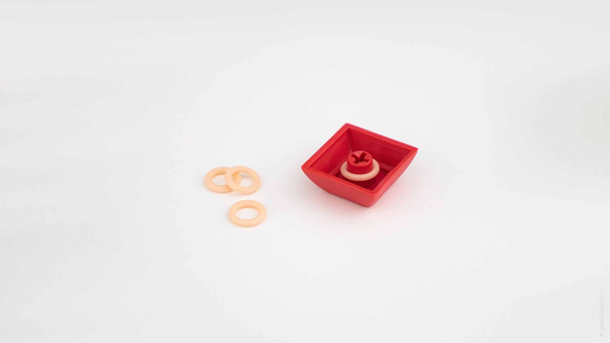 o-ring_1.webp