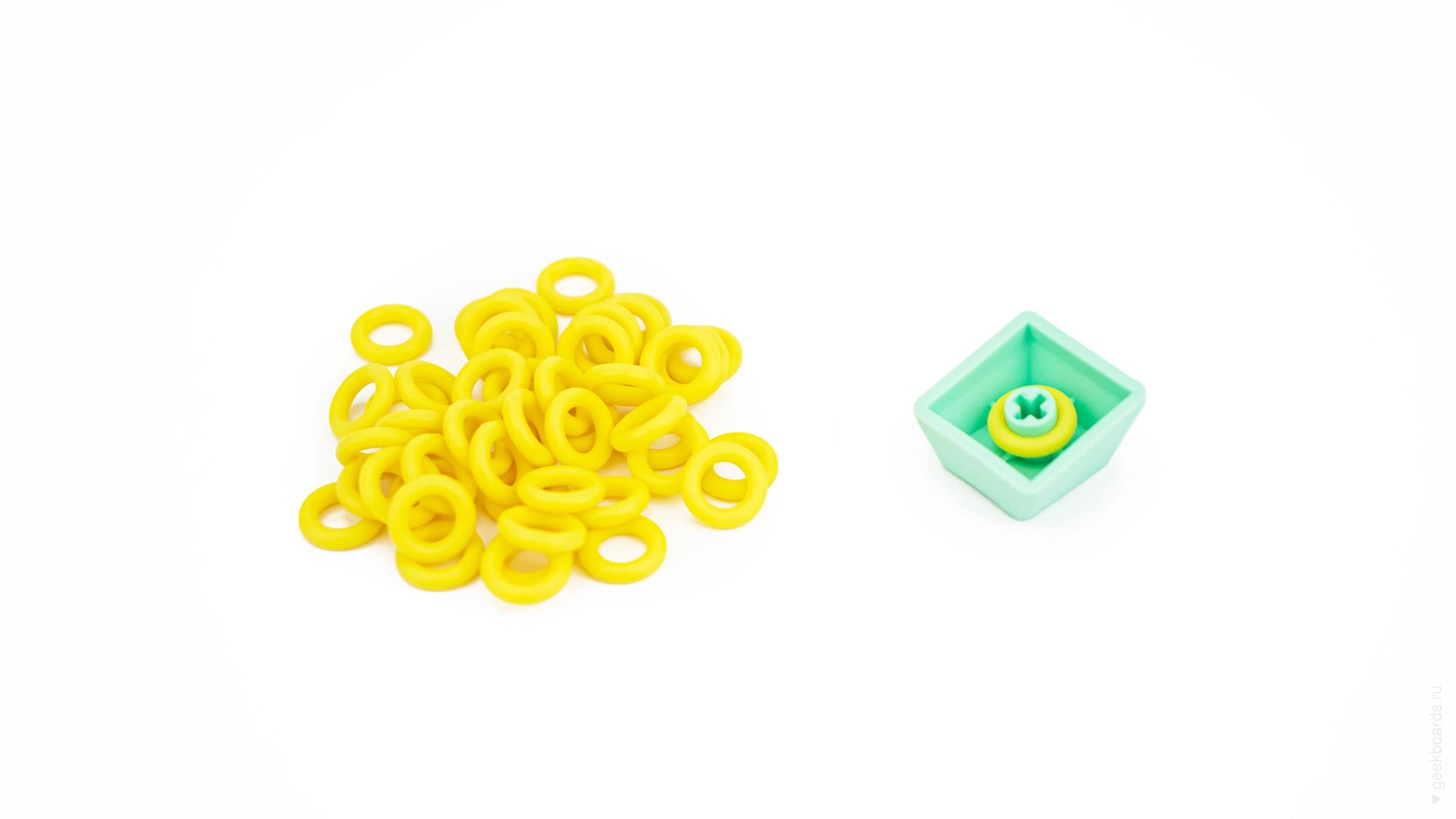 o-ring_main_6e4632a9-608e-4c8e-87bc-5f050d1cf724.webp